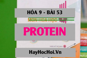 Protein tính chất hóa học, trạng thái tự nhiên, thành phần cấu tạo và ứng dụng của Protein - Hóa 9 bài 53